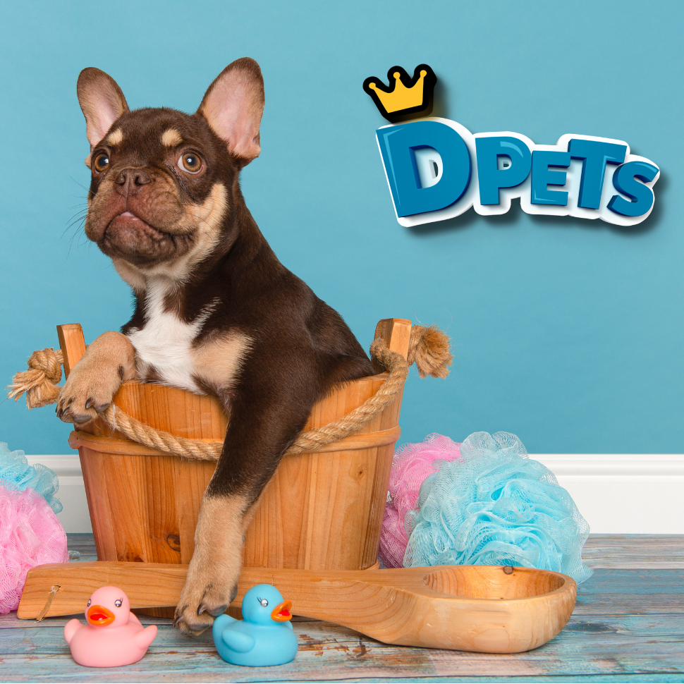 bath-cute-dog-orlando